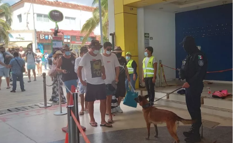 Perros ayudan a que se cumplan medidas sanitarias contra la COVID