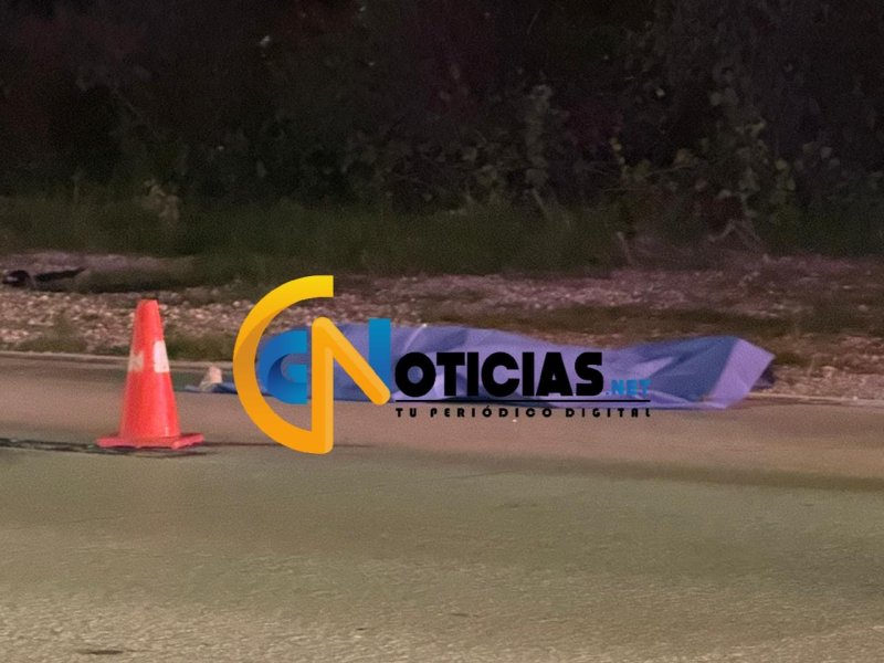 Persona pierde la vida atropellada en la Colosio