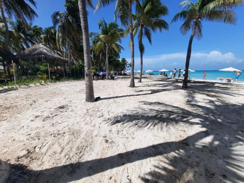 Playas de Isla Mujeres ya están listas para recibir a bañistas