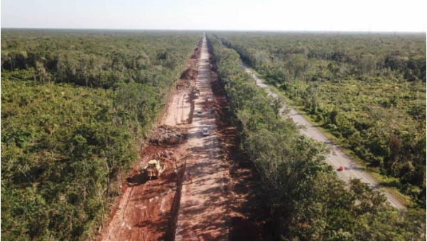 Playenses presentan denuncia formal contra Fonatur por daño ambiental y ecológico