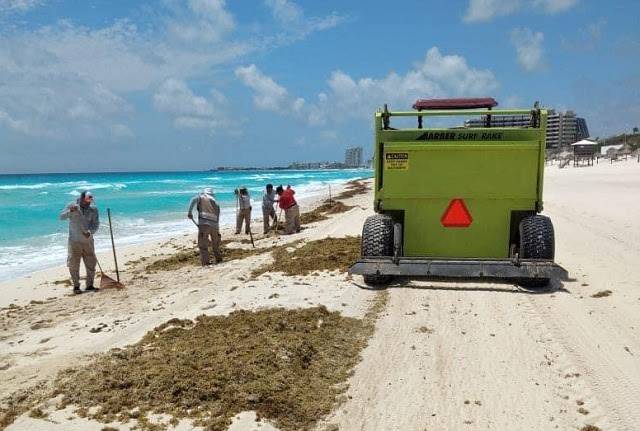 Presentan estrategia contra el sargazo para la Riviera Maya; su aprovechamiento y recolección desde el mar, parte del plan