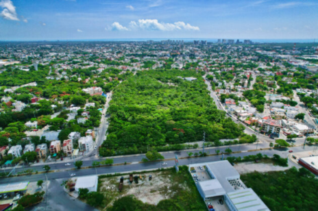 PRESENTAN PROYECTO PARA EL ‘OMBLIGO VERDE’: Garantiza Sedatu que en diciembre la emblemática reserva ecológica de Cancún contará con su nuevo parque urbano