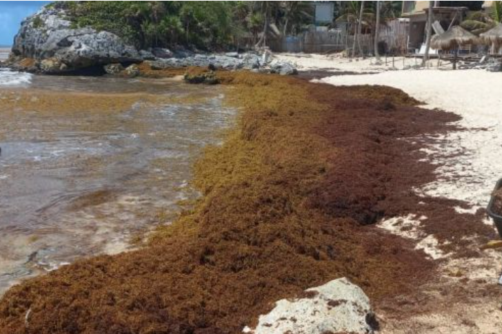 <a href="https://www.lajornadamaya.mx/quintana-roo/195934/prestadores-de-servicios-piden-barreras-antisargazo-en-tulum#">Prestadores de servicios piden barreras antisargazo en Tulum</a>