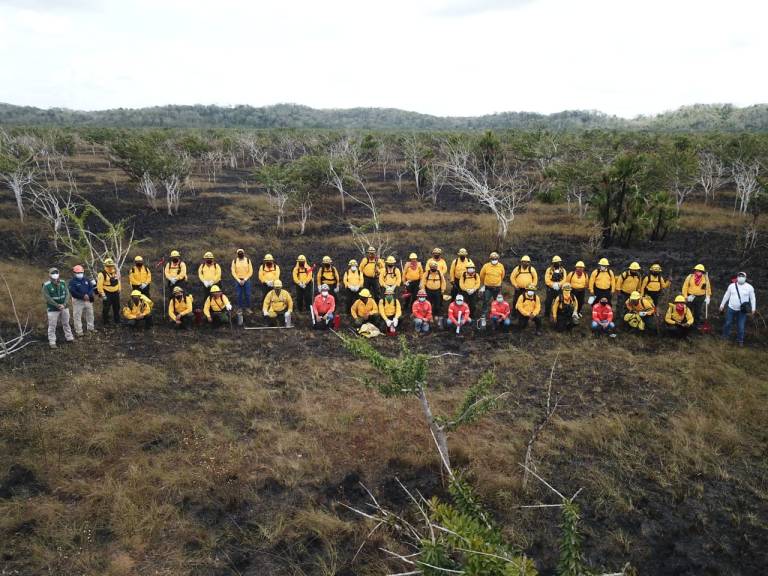 Pronostican de 10 a 50 incendios forestales en Q. Roo