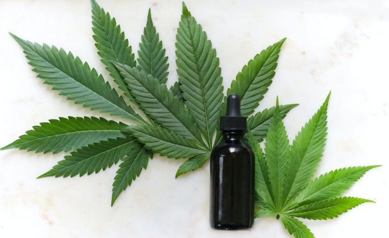 ¿Quieres comercializar mariguana legalmente? Inversionistas te buscan