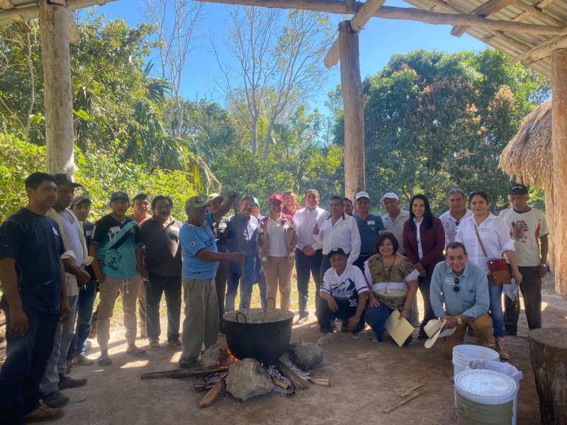 Quintana Roo avanza en la obtención de la Indicación Geográfica del Chicle Maya