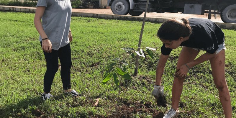 Reforesta Cancún 20/21 reactiva actividades