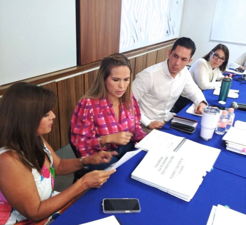 Satisfacer necesidades sin comprometer capacidad de las futuras generaciones