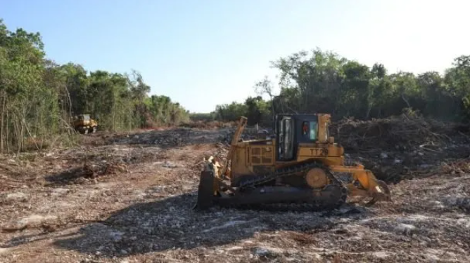Se afirma que tendrá menor impacto ambiental obras del Tren Maya