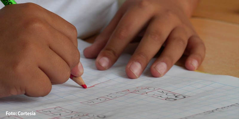 Seis escuelas de Benito Juárez recibieron el distintivo Eco-Schools