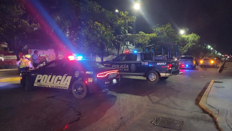 Sicarios fallan y matan a un perro en Playa del Carmen