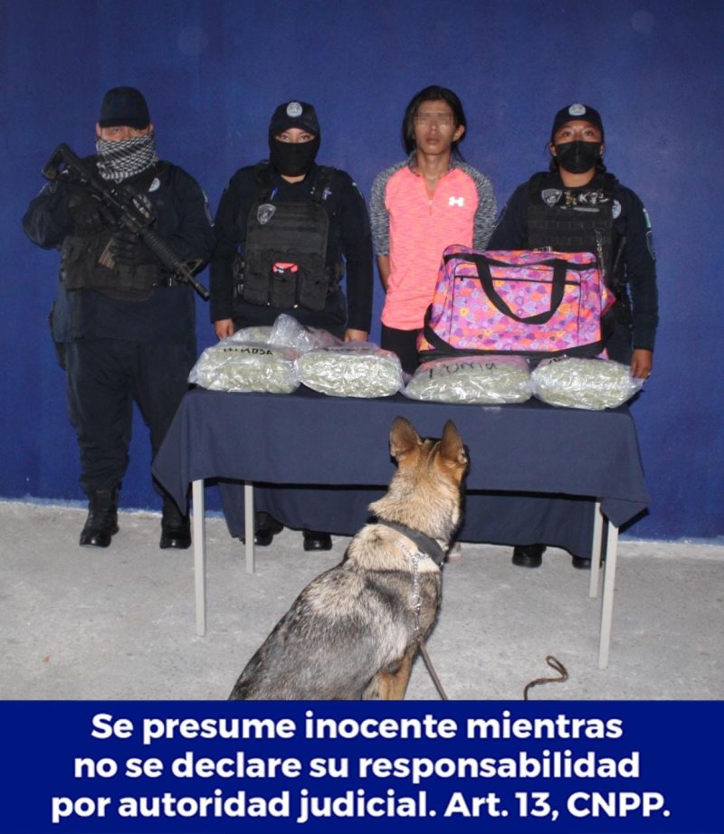 SSP de Quintana Roo realiza 11 detenciones relevantes del 22 al 28 de febrero