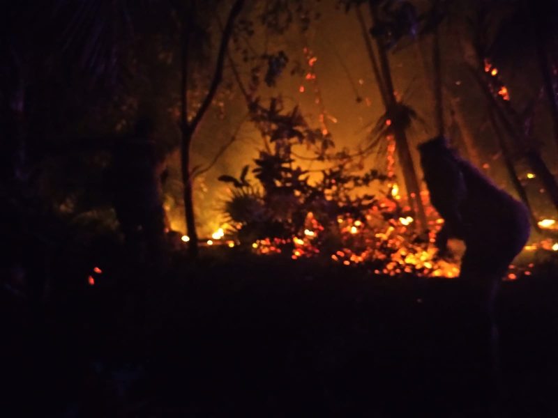 Surge incendio en la reserva Sian Ka’an en las inmediaciones de Punta Allen