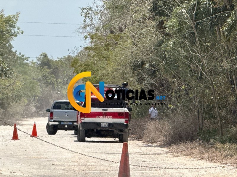 Tercer incendio del día moviliza a bomberos en la López Portillo; ardió maleza junto a la bloquera ABC