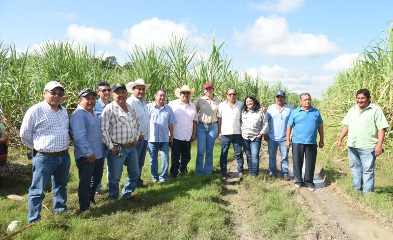 Titular de SEDARPE invita a cañeros a sumarse al Nuevo Acuerdo