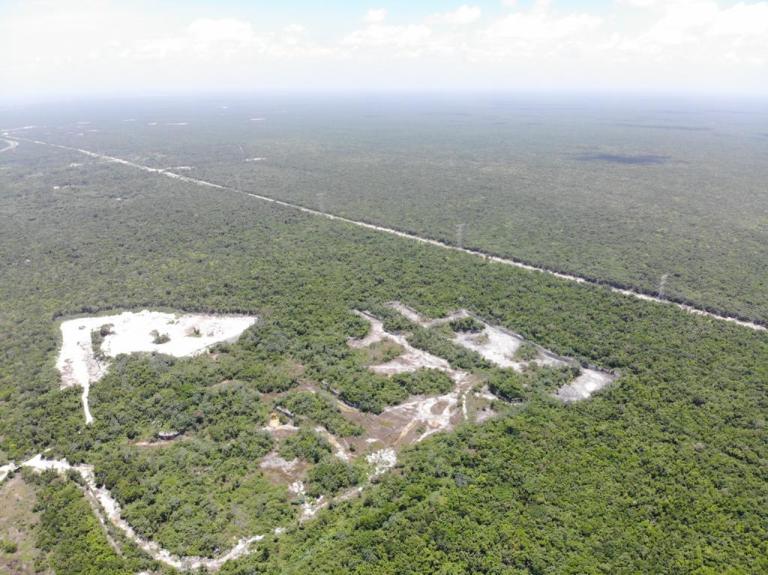 Tren Maya podría ocasionar crisis ambiental por riesgos civilizatorios