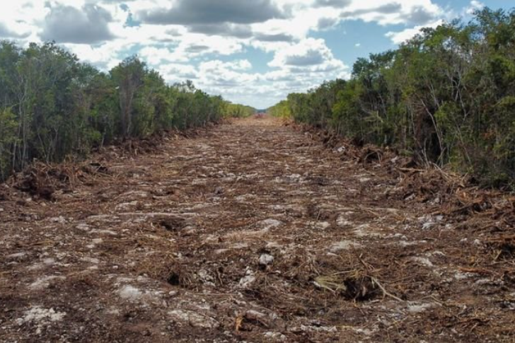 <a href="https://www.lajornadamaya.mx/quintana-roo/198210/de-forma-condicionada-semarnat-autoriza-mia-de-tramo-5-sur-del-tren-maya#">Tren Maya: Semarnat autoriza MIA de tramo 5 Sur de forma condicionada</a>