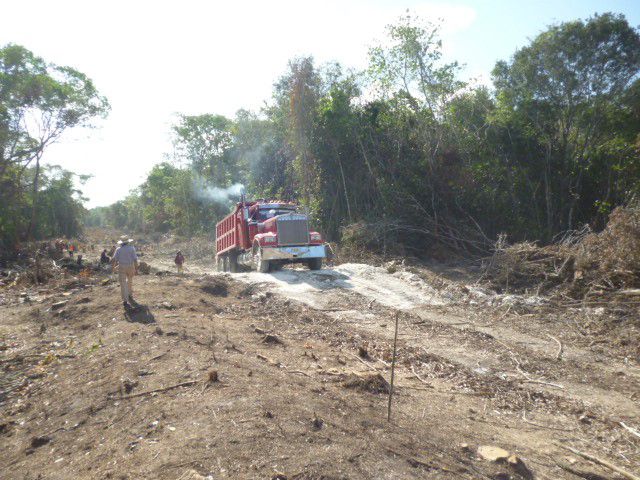 TREN MAYA TRAMO 7: Arrasan con zonas arqueológicas del sur de Quintana Roo