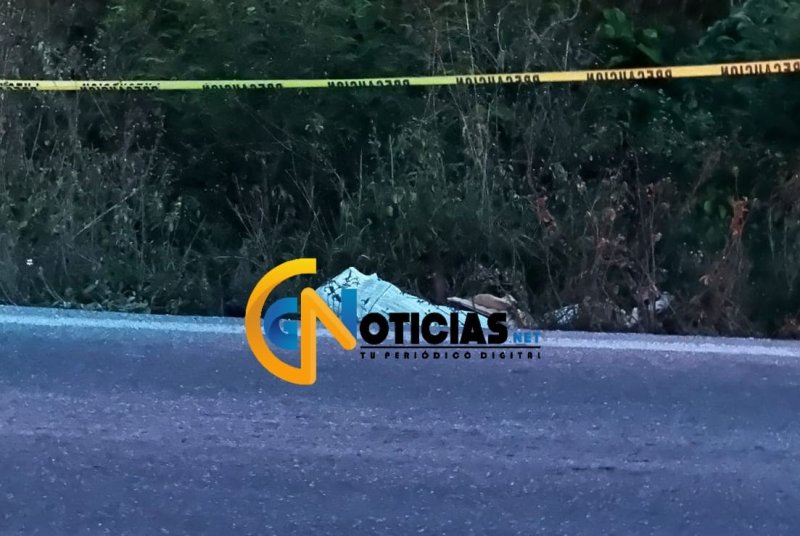 Un cuerpo con el rostro tapado con una sábana, fue encontrado sobre la carretera libre Cancún- Mérida