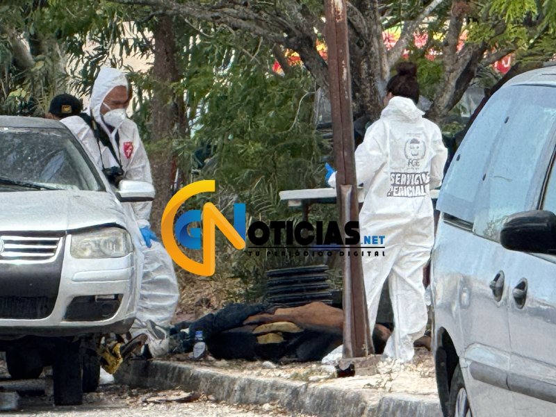 Un individuo fue encontrado sin vida en el camellón central de la avenida Girasoles
