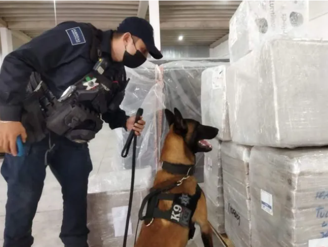 Unidad Canina contribuye a la prevención de delitos en Solidaridad