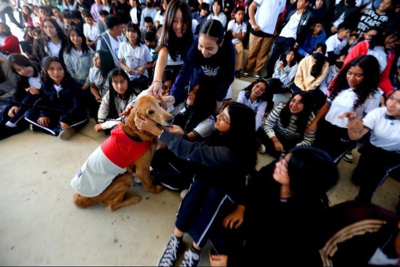 Utilizan Canoterapia en escuelas públicas de Yucatán