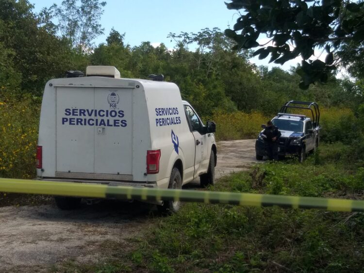 Vecinos de la colonia El Pedregal encuentran cráneo humano en terreno baldío