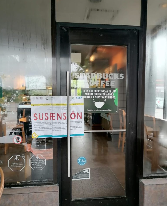 #VIDEO Clausuran Starbucks de Cancún por presencia de cucarachas