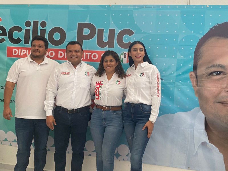 Vital el impulso de las energías limpias: Leslie Hendricks Rubio
