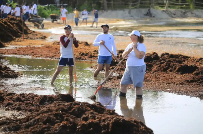 Voluntarios se suman a limpieza de playas