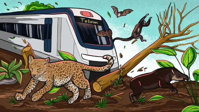 Xcaret afirma no formar parte de la campaña de amparos contra Tren Maya