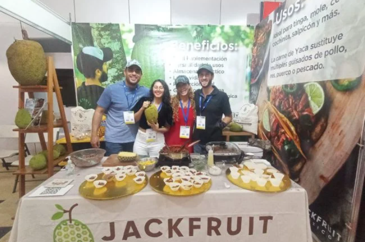<a href="https://www.lajornadamaya.mx/quintana-roo/197898/yaca-fruto-que-surge-como-alternativa-a-la-carne-animal-en-qroo#">Yaca, fruto que surge como alternativa a la carne animal en QRoo</a>