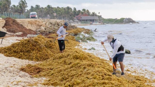A finales de septiembre se llevará a cabo la presentación del proyecto internacional CARIBS para