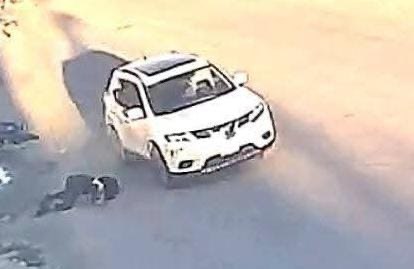 Cancún. - Una madre de familia pidió el apoyo de la ciudadanía para localizar una camioneta blanca que atropelló a su hijo cuando se dirigía a la escuela, en la zona de Villas Otoch Paraíso.