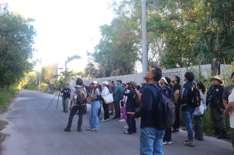 Quintana Roo impulsa la primera Pajareada de “Tras las Alas de la Biodiversidad”